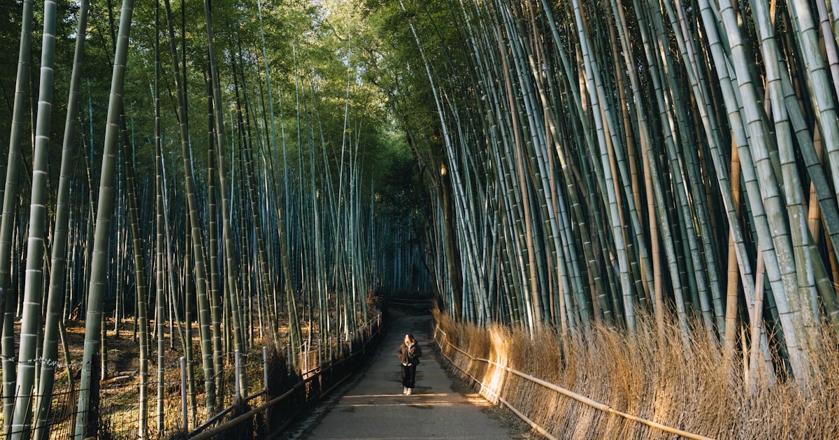 Arashiyama, Japan