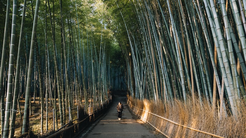 Arashiyama, Japan
